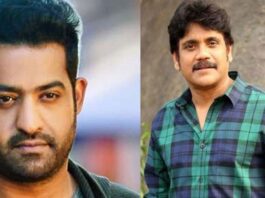 jr ntr nagarjuna