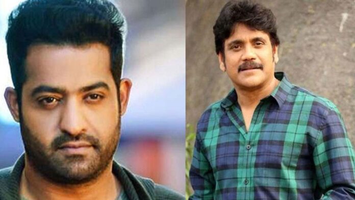jr ntr nagarjuna